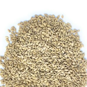 Semi di girasole decorticati