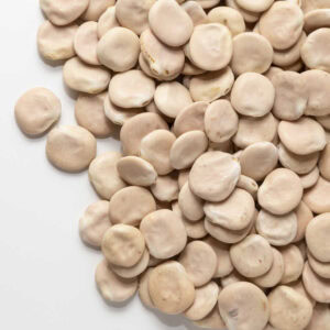 Lupini giganti italia