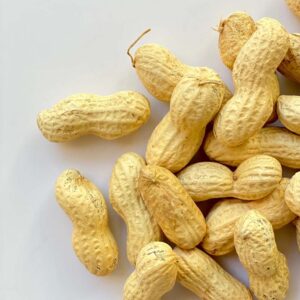 Arachidi crude in guscio