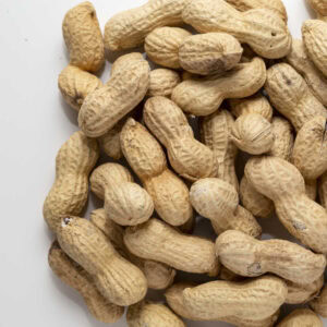 Arachidi extra fancy