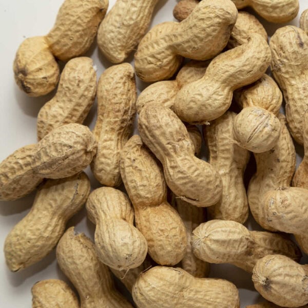 Arachidi super giants