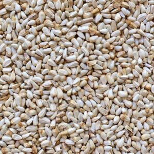 Cartamo ad uso zootecnico