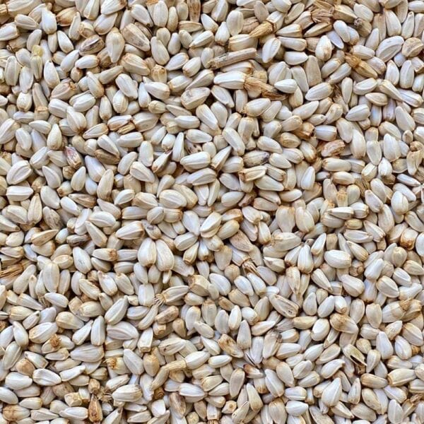 Cartamo ad uso zootecnico