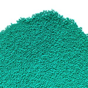 Dichondra repens con rhizo