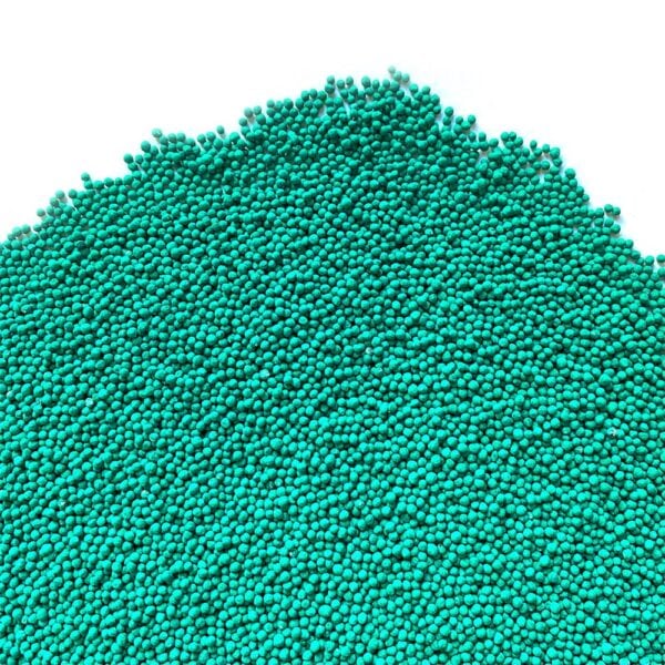 Dichondra repens con rhizo