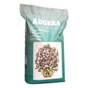 Erba medica adorna con rhizo