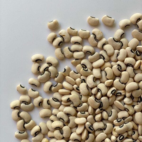 Fagioli dolico italia