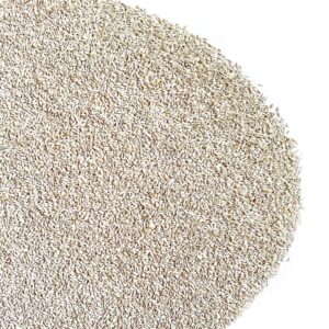 Gramigna (cynodon dactylon) con rhizo