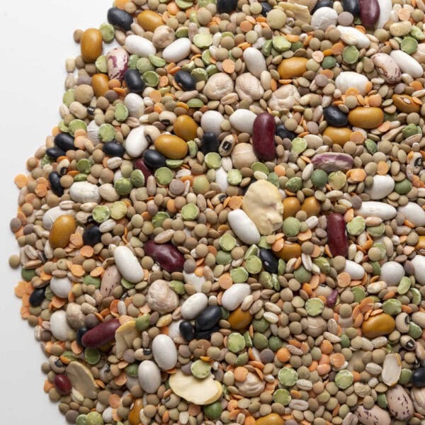 Zuppa di legumi misti grossa