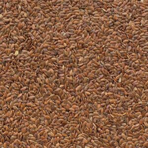 Lino ad uso zootecnico