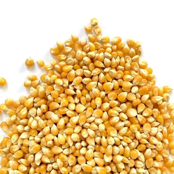 Mais da pop corn italia