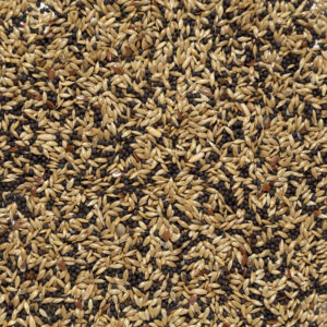 Miscuglio per canarini