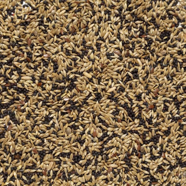 Miscuglio per canarini