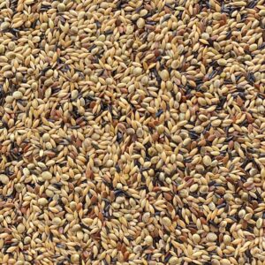 Miscuglio per canarini extra