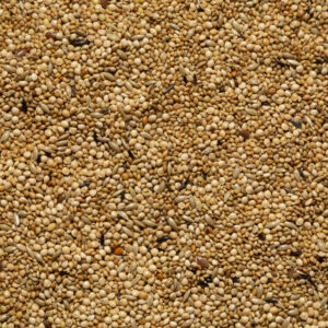 Miscuglio per esotici