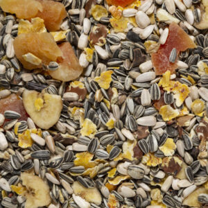 Miscuglio per pappagalli grandi con frutta