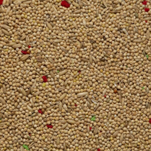 Miscuglio per pappagalli e cocorite