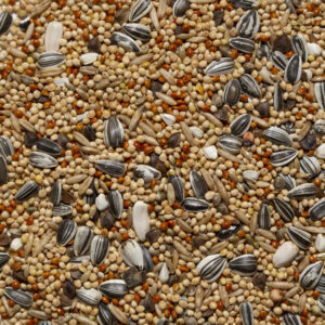 Miscuglio per parrocchetti