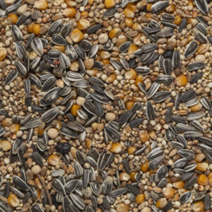 Misto per colombi super