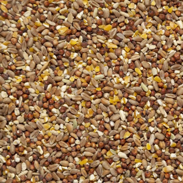 Misto tortore e fagiani