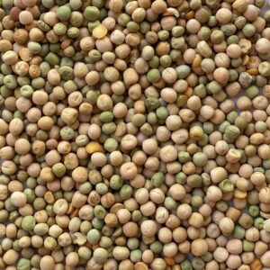 Piselli ad uso zootecnico