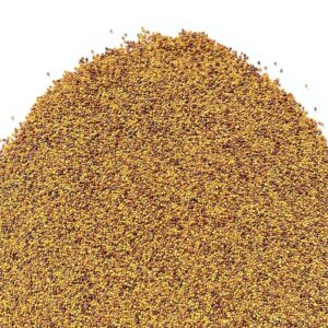 Trifoglio bianco nanissimo con rhizo