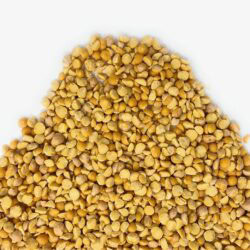 Ceci decorticati italia