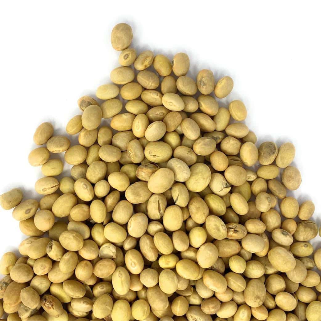 fagioli-solfino-01 Fagioli zolfino - immagine 1