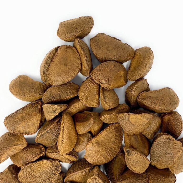 cardoni - Cardoni - Italian Masters of Farming