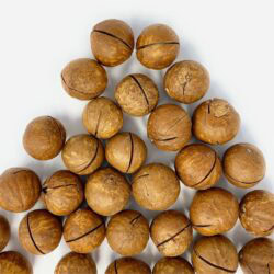 Noci di macadamia