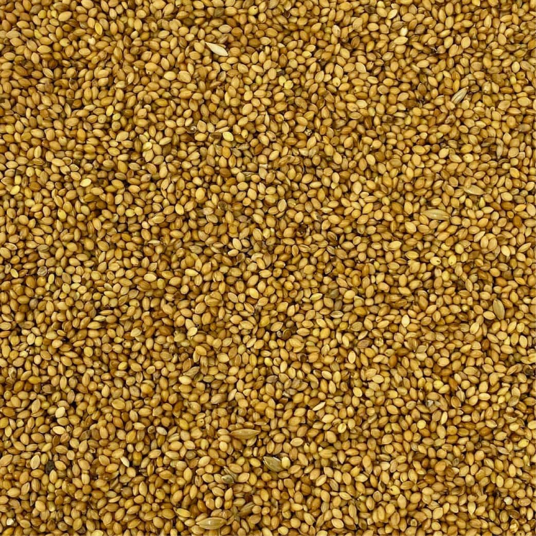 panico-ad-uso-zootecnico-01 panico