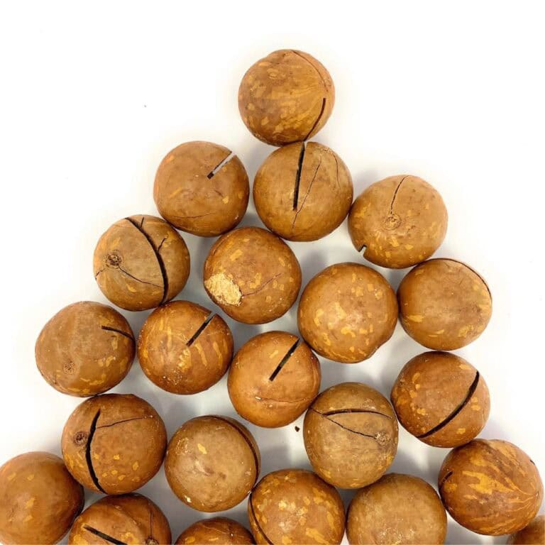 noci di macadamia alla vaniglia